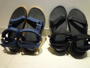 kids Teva　入荷しています！！