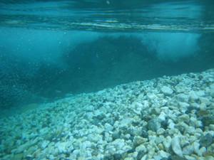 期間限定ポイント　お忘れありませんか？