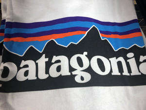 パタゴニア　P-6ロゴ・レスポンシビリティー