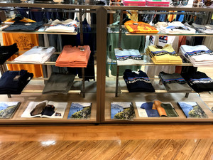 【パタゴニア】Tシャツ入荷☆★