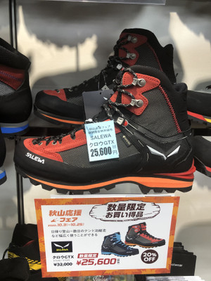【SALEWA】 クロウGTX