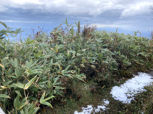 防寒ブーツ入荷！！