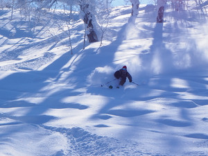 バックカントリー用品