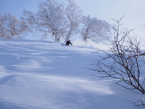 SALOMON　スキーウェア入荷！！