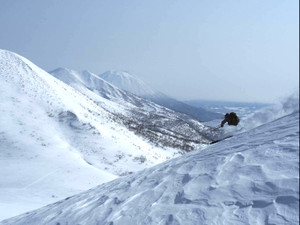 ★フォレストワードローブの新作★